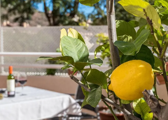 Casa Limonar Malaga