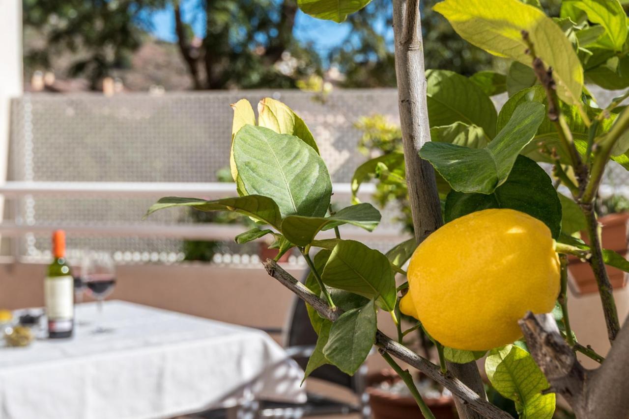 Casa Limonar Apartament Malaga